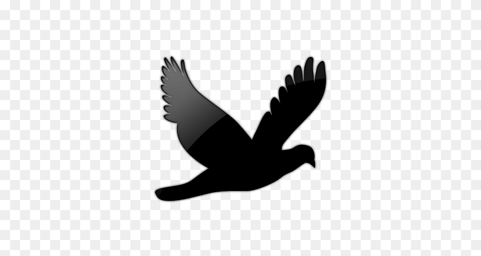 Black Bird Flying Clip Art, Silhouette, Animal, Blackbird, Person Free Png