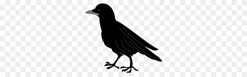 Black Bird Silhouette Clip Art Vector, Animal, Beak, Blackbird Free Transparent Png