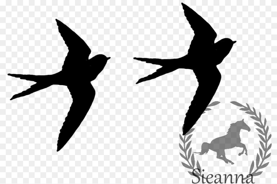 Black Birds Flying Set Black Bird Flying Clipart, Nature, Night, Outdoors Free Png