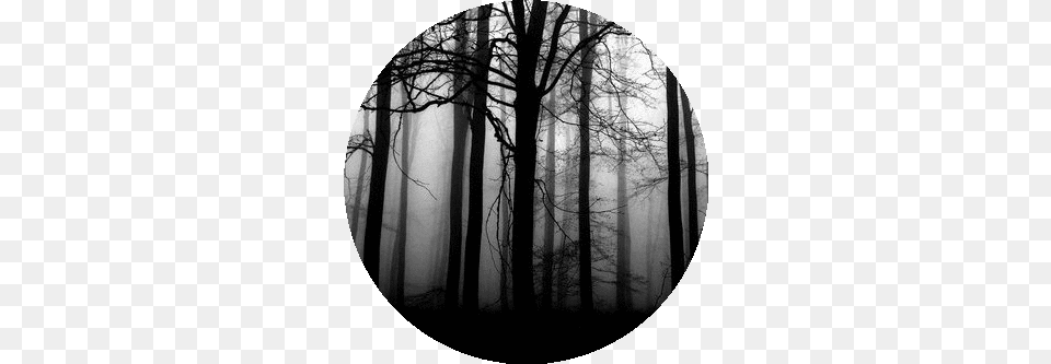 Black Blackampwhite Blackicon Circle Blackcircle Dark Forest, Nature, Outdoors, Photography, Weather Free Png