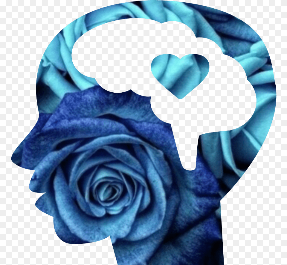 Black Blue Garden Roses, Flower, Plant, Rose, Accessories Png