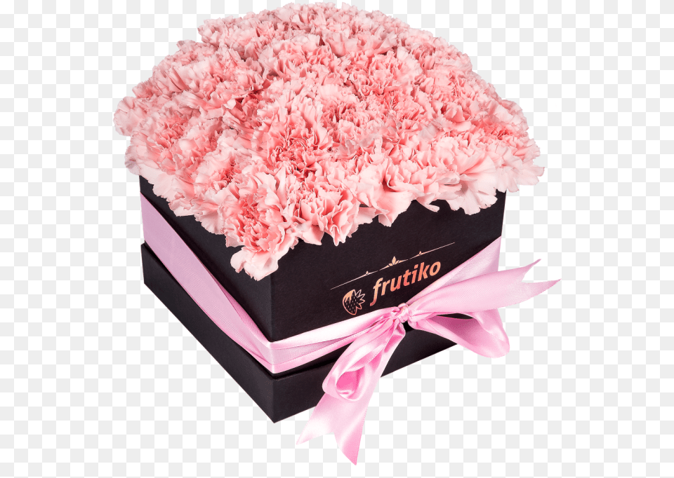Black Box Of Pink Carnations Bouquet, Carnation, Flower, Plant Free Png