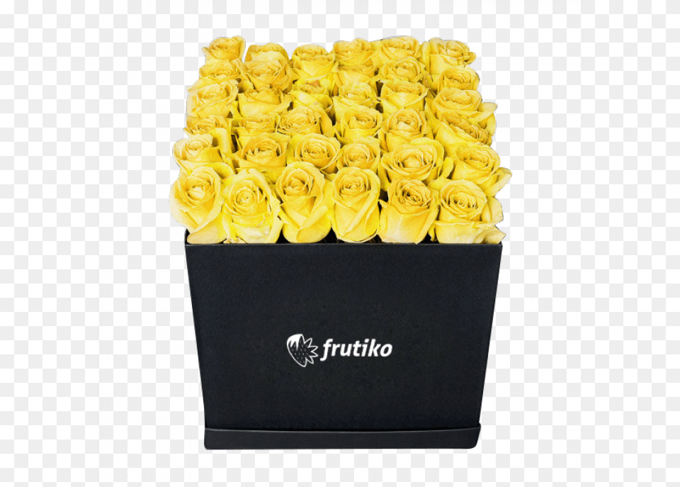 Black Box Of Yellow Roses Pink Roses In A Box, Flower, Flower Arrangement, Flower Bouquet, Plant Png