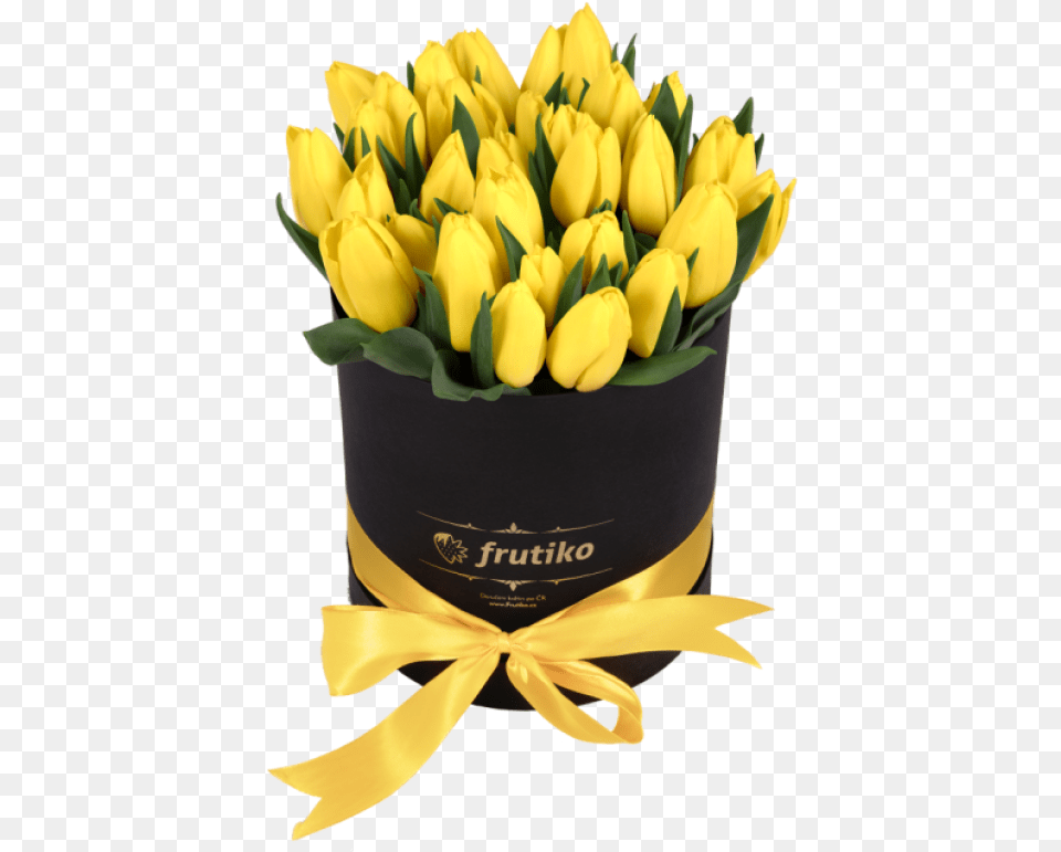 Black Box Oval Of Yellow Tulips Tulip, Flower, Flower Arrangement, Flower Bouquet, Plant Png