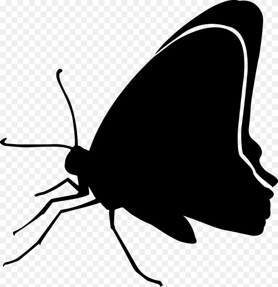 Black Butterfly Clip Art Silhouette Image Butterfly, Stencil, Animal, Fish, Sea Life Png