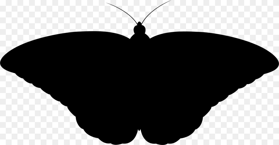 Black Butterfly Gif, Gray Free Transparent Png