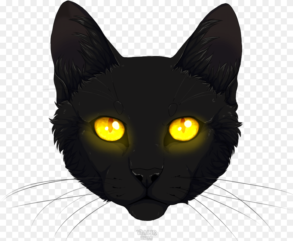 Black By Vialir Black Cat Head, Animal, Mammal, Pet, Black Cat Free Png