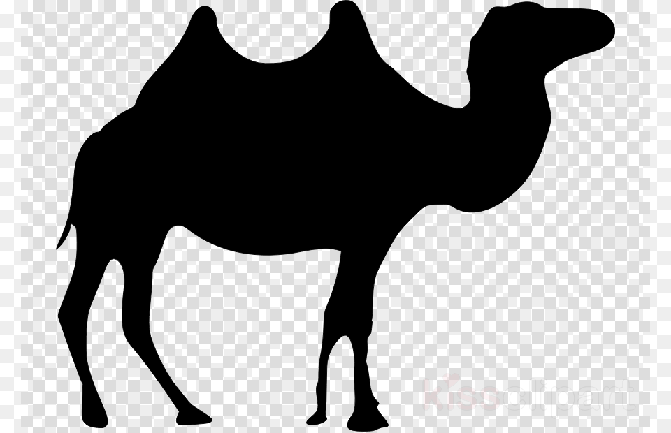 Black Camel Clipart Dromedary Clip Art Clip Art, Animal, Mammal, Qr Code Free Png