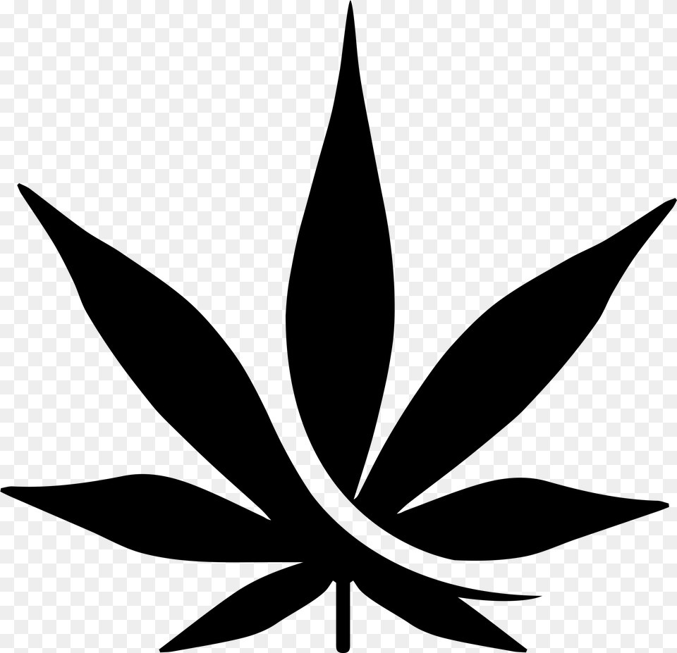 Black Cannabis Leaf Marijuana Vector, Gray Free Transparent Png