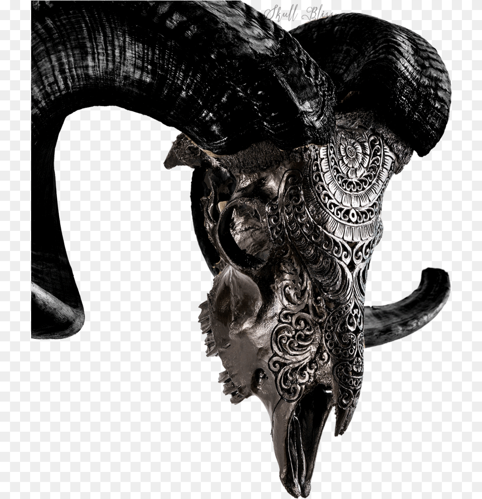 Black Carved Ram Skull, Adult, Female, Person, Woman Png