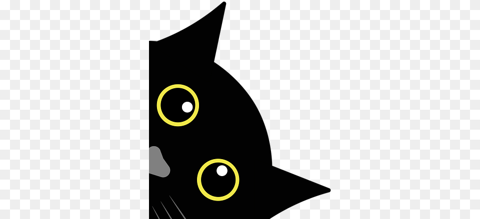 Black Cat, Animal, Mammal, Pet, Black Cat Free Png