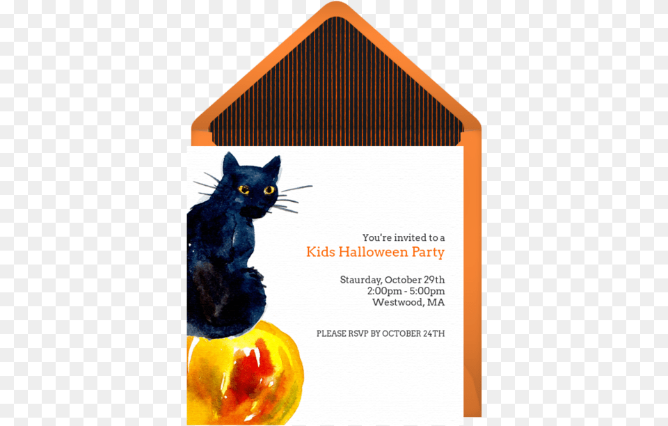 Black Cat, Advertisement, Poster, Animal, Mammal Png