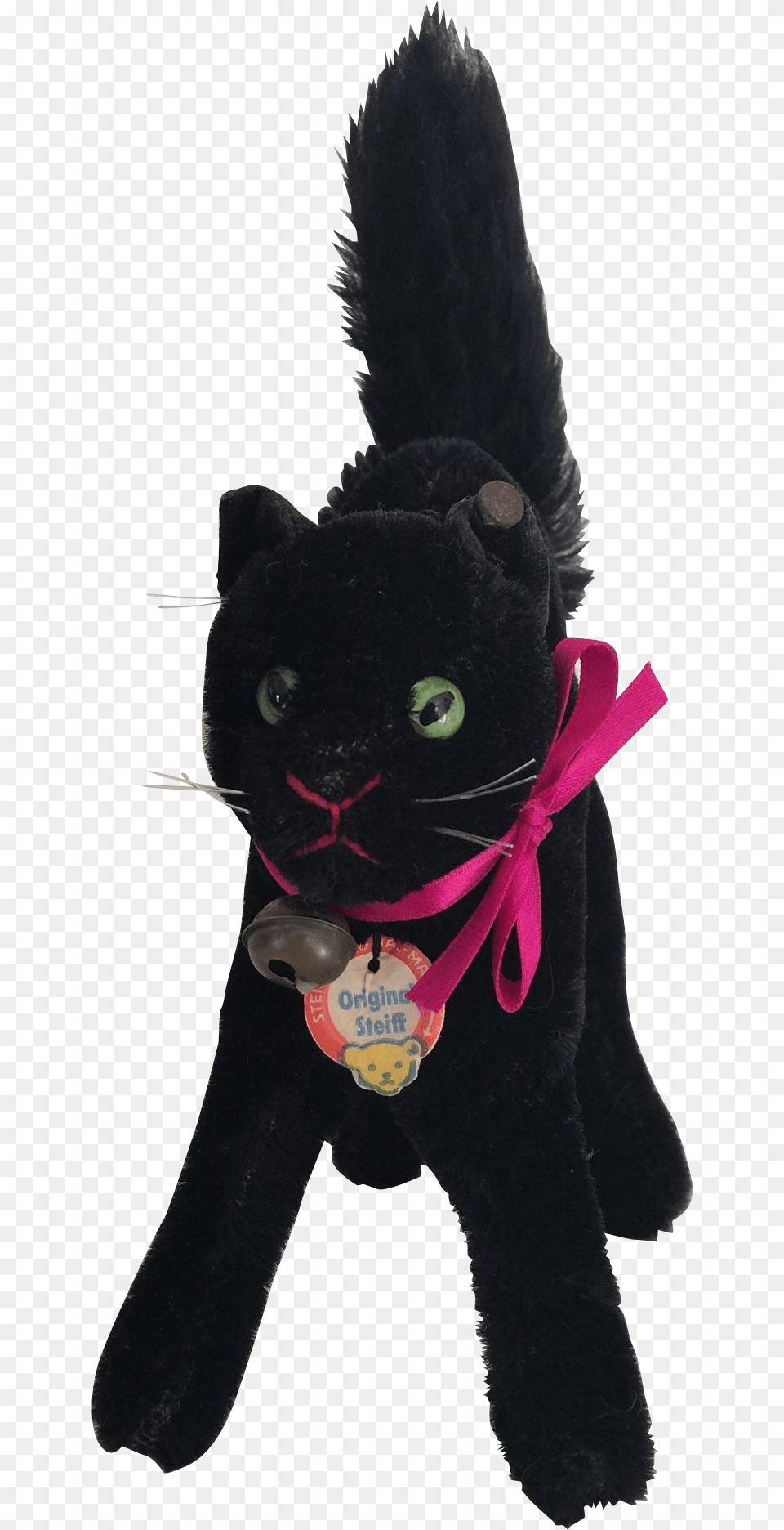 Black Cat, Animal, Mammal, Panther, Wildlife Png Image