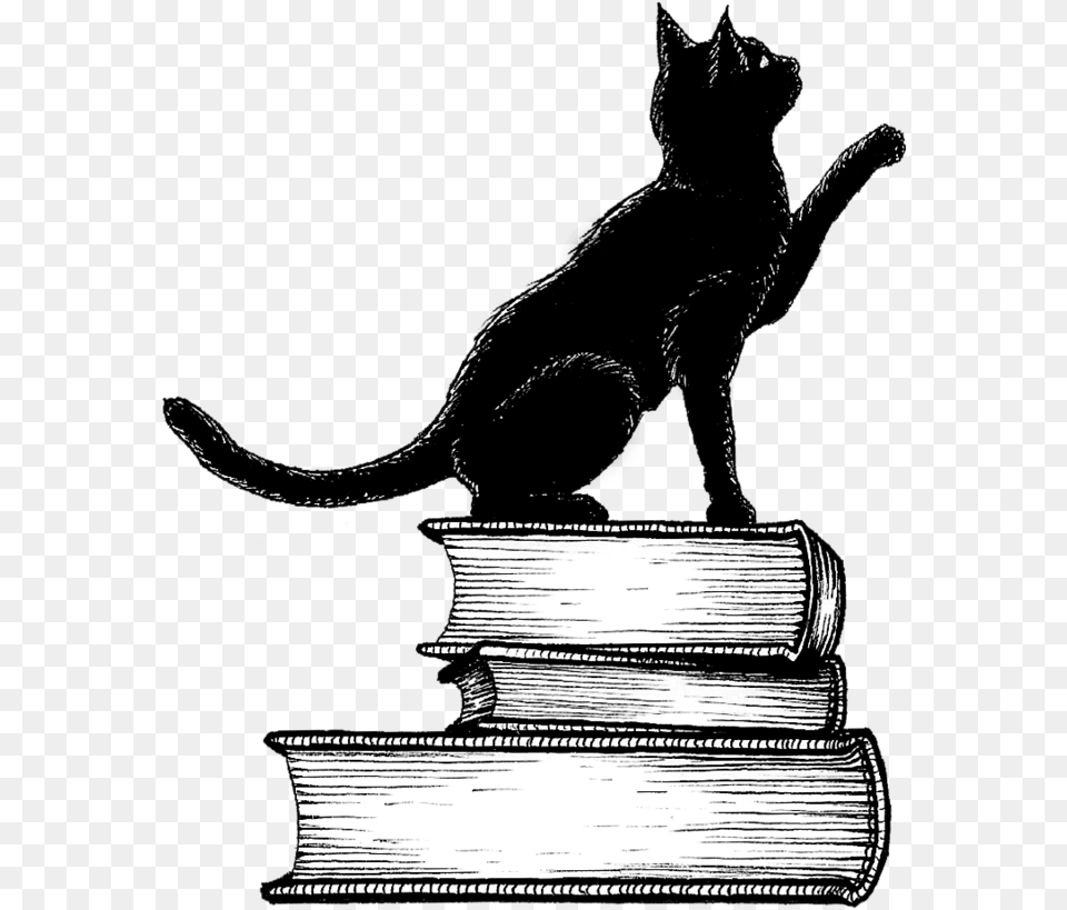 Black Cat, Book, Publication, Animal, Mammal Png