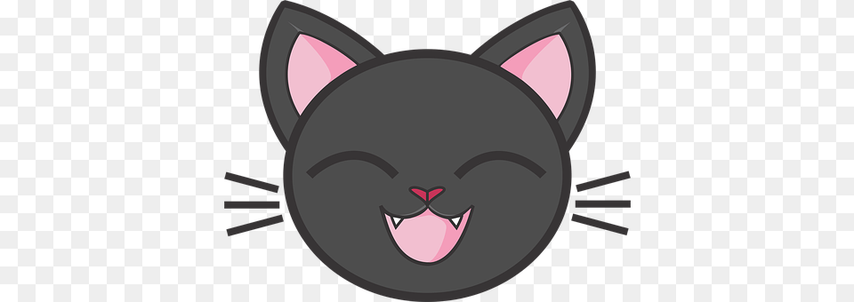 Black Cat Disk, Snout Png Image