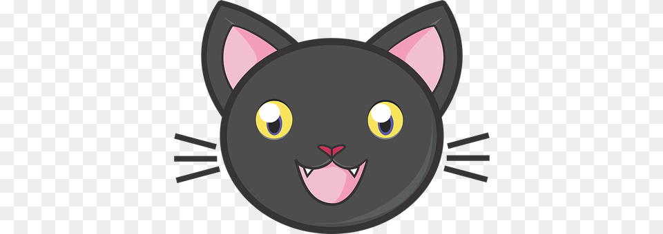 Black Cat Disk, Animal, Mammal, Pet Free Png Download