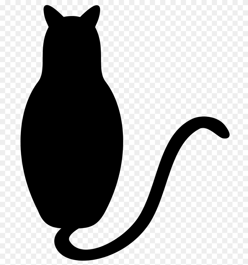 Black Cat, Gray Png Image