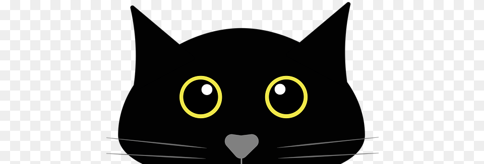 Black Cat, Animal, Mammal, Pet, Black Cat Free Png