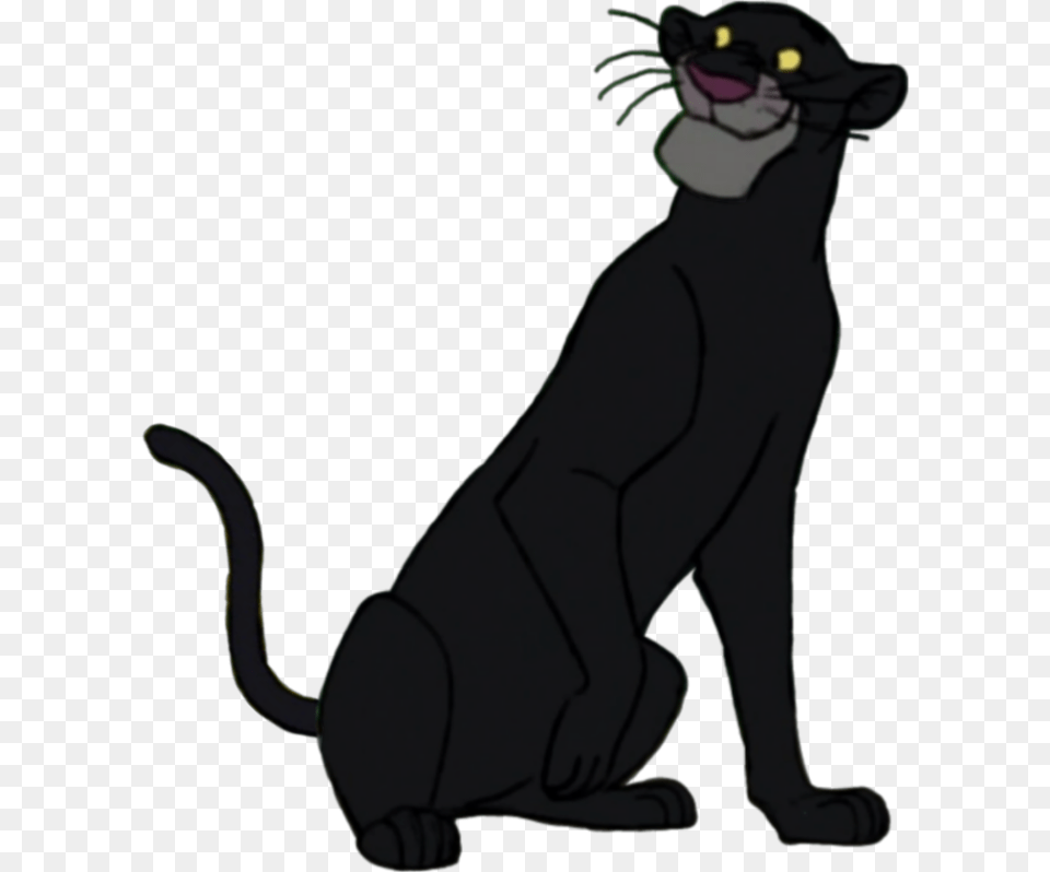 Black Cat, Animal, Mammal, Pet, Person Png Image