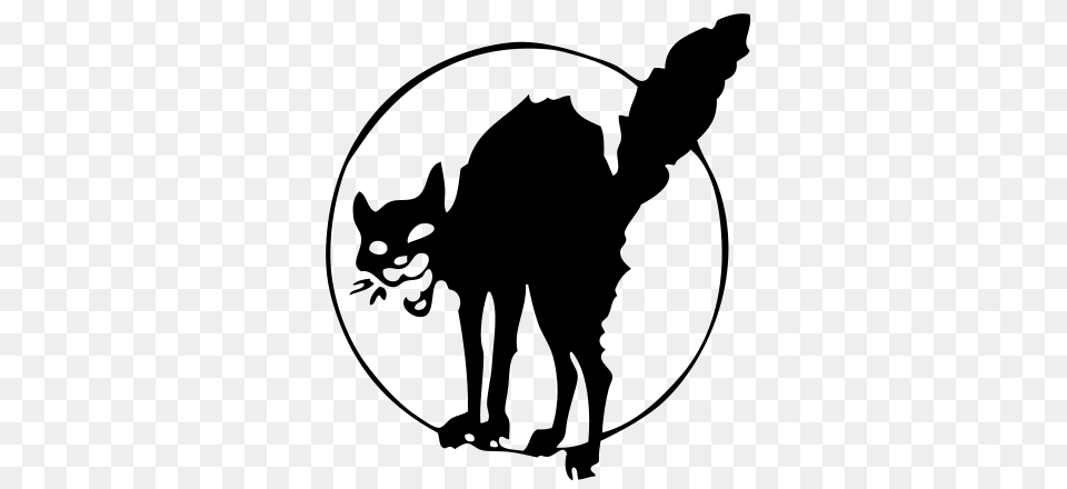 Black Cat, Gray Free Png