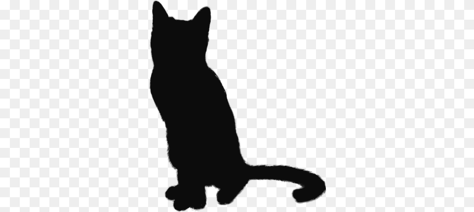 Black Cat, Animal, Mammal, Pet Free Png