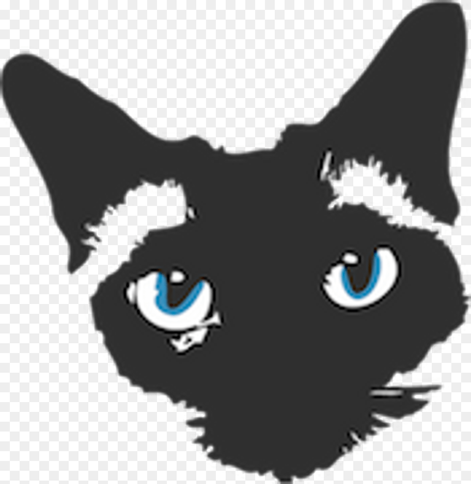 Black Cat, Animal, Mammal, Pet, Smoke Pipe Free Transparent Png