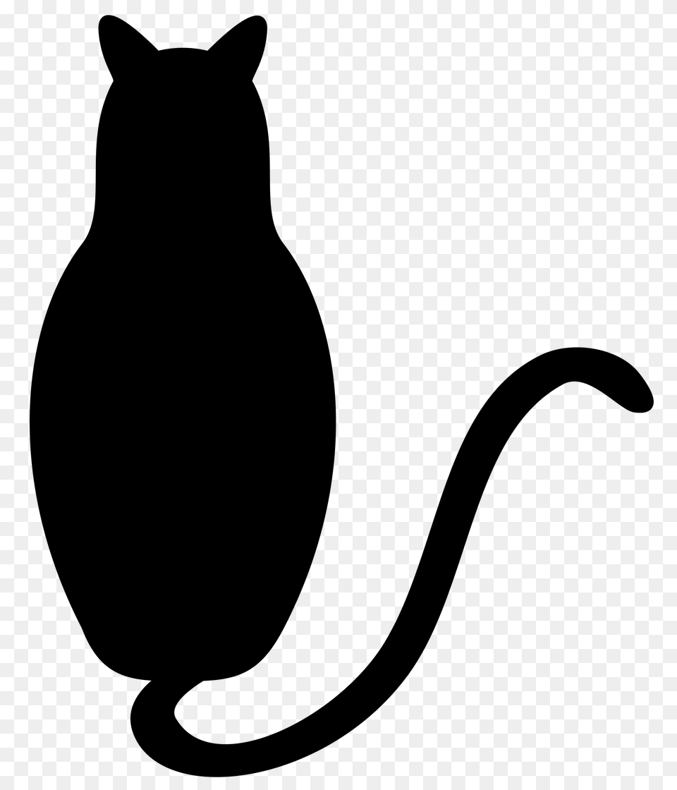 Black Cat, Gray Png