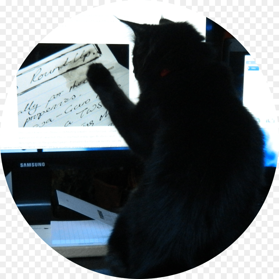 Black Cat, Laptop, Electronics, Pc, Computer Free Png Download