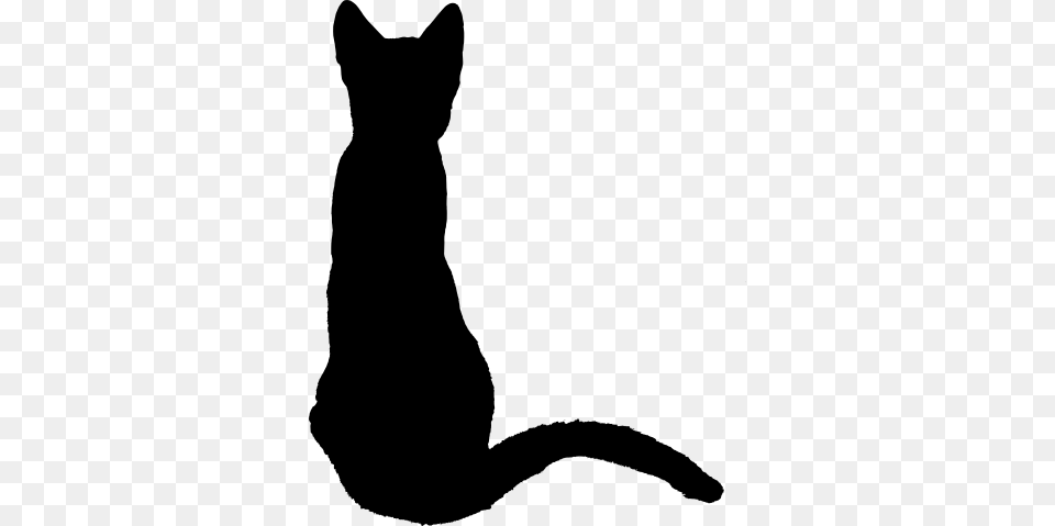 Black Cat, Gray Free Png Download