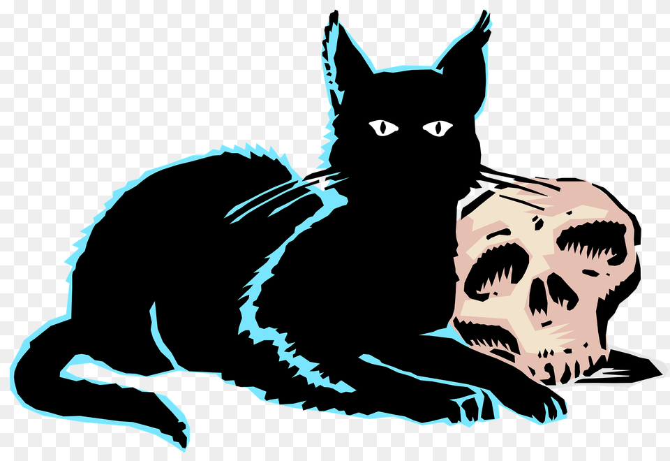 Black Cat And Skull Clipart, Animal, Baby, Mammal, Person Png