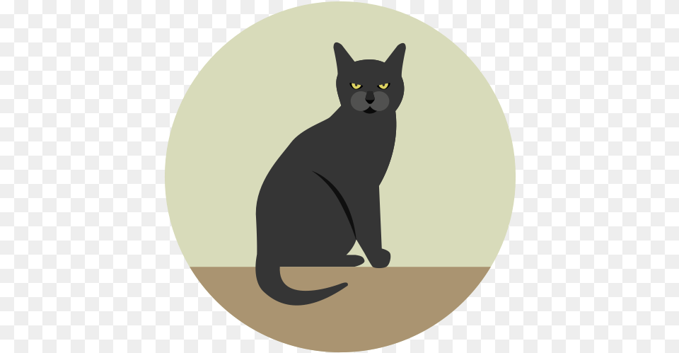 Black Cat Angry Halloween Icon Cat Icon, Animal, Mammal, Pet, Egyptian Cat Png Image