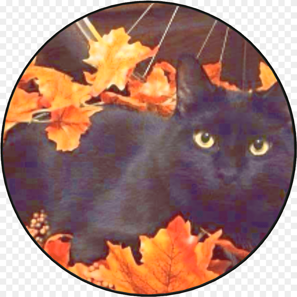 Black Cat Autumn Download Halloween Black Cat Aesthetic, Leaf, Plant, Animal, Mammal Free Transparent Png