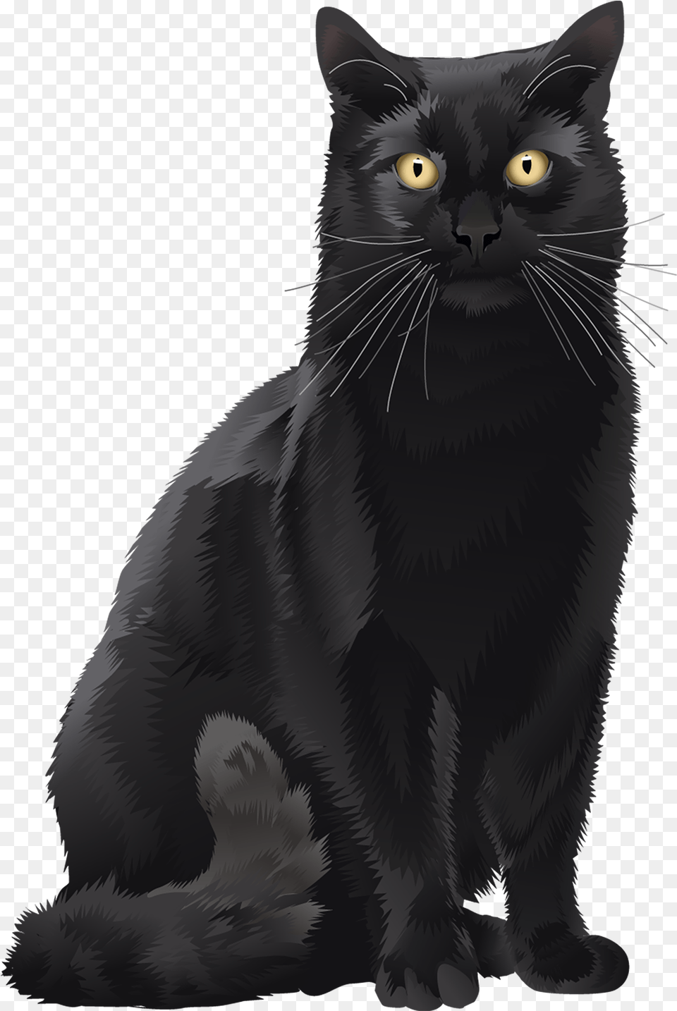 Black Cat Car Magnet Spoiled Rotten Animal Den Black Cat, Mammal, Pet, Black Cat Png