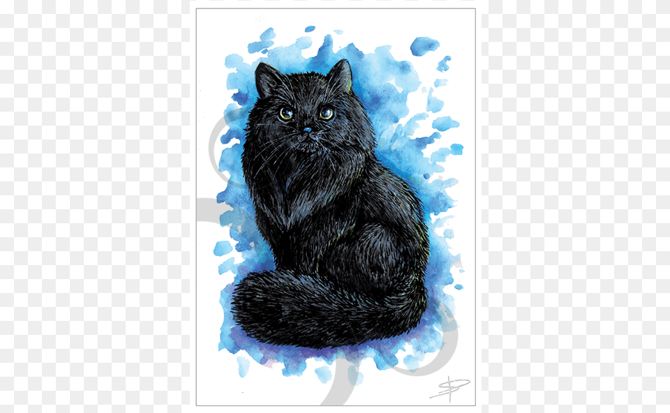 Black Cat Card Greeting Card, Animal, Mammal, Pet, Black Cat Png Image