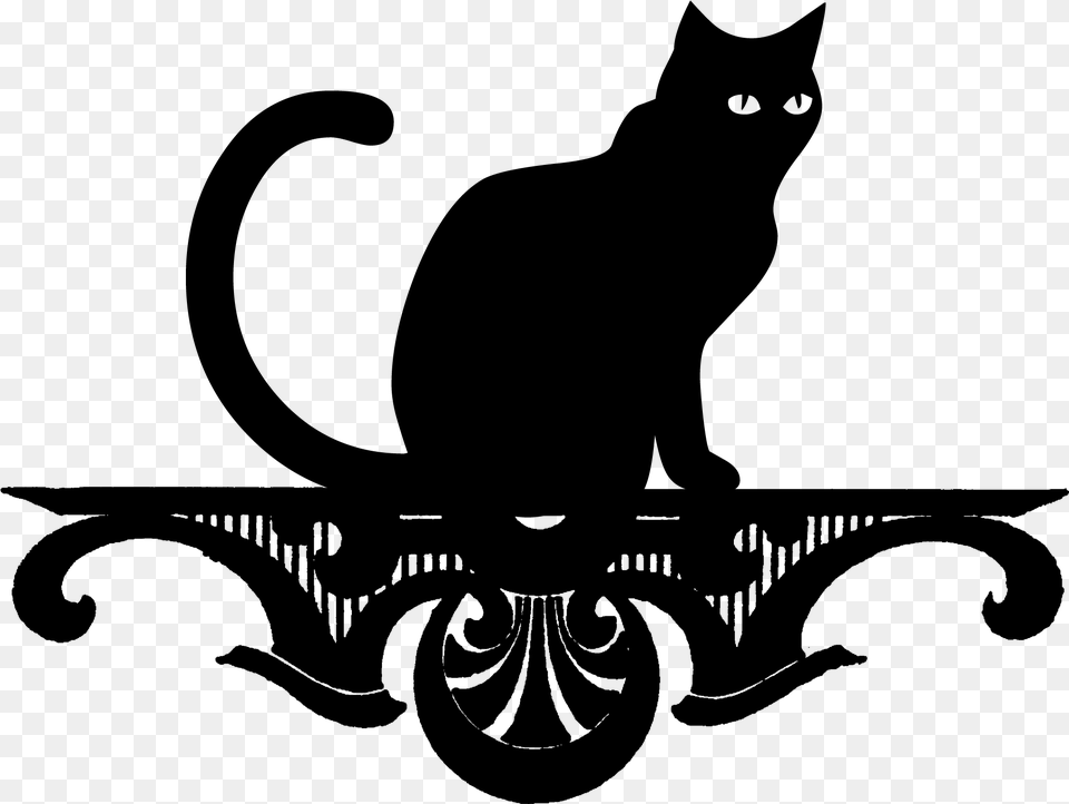 Black Cat Cat, Gray Png