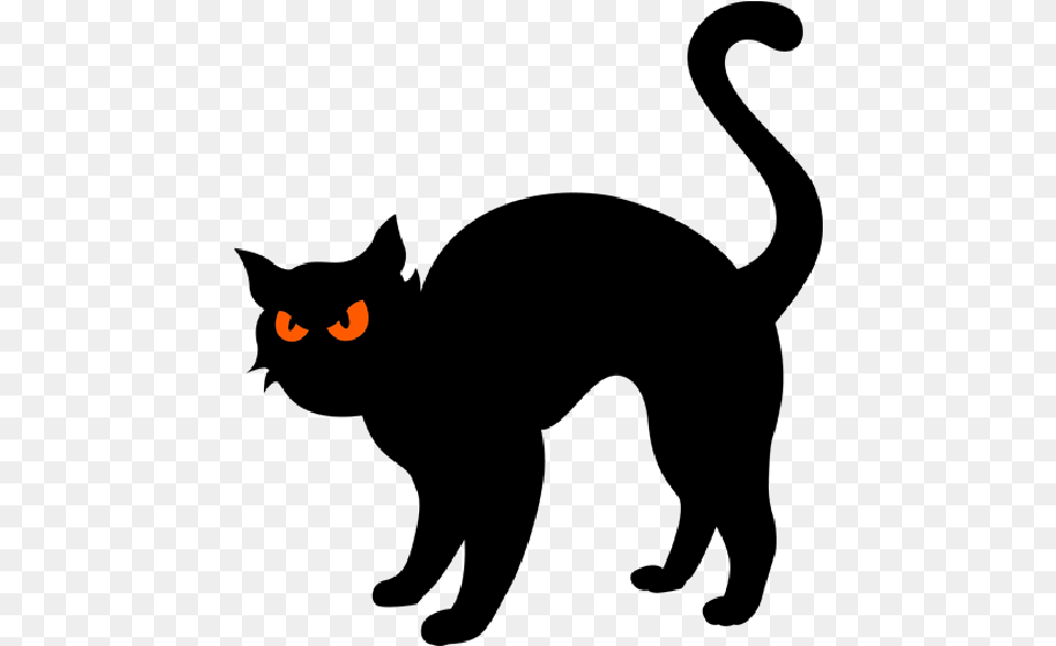 Black Cat Clip Art Halloween Black Cat Cartoon Free Transparent Png