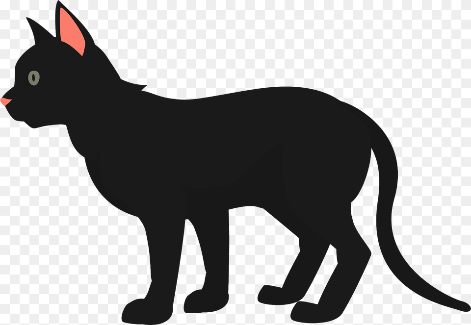 Black Cat Clipart, Animal, Mammal, Pet, Kangaroo Free Png