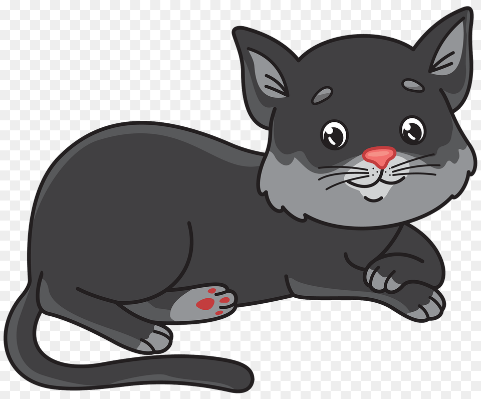 Black Cat Clipart, Animal, Mammal, Wildlife, Pig Free Png Download