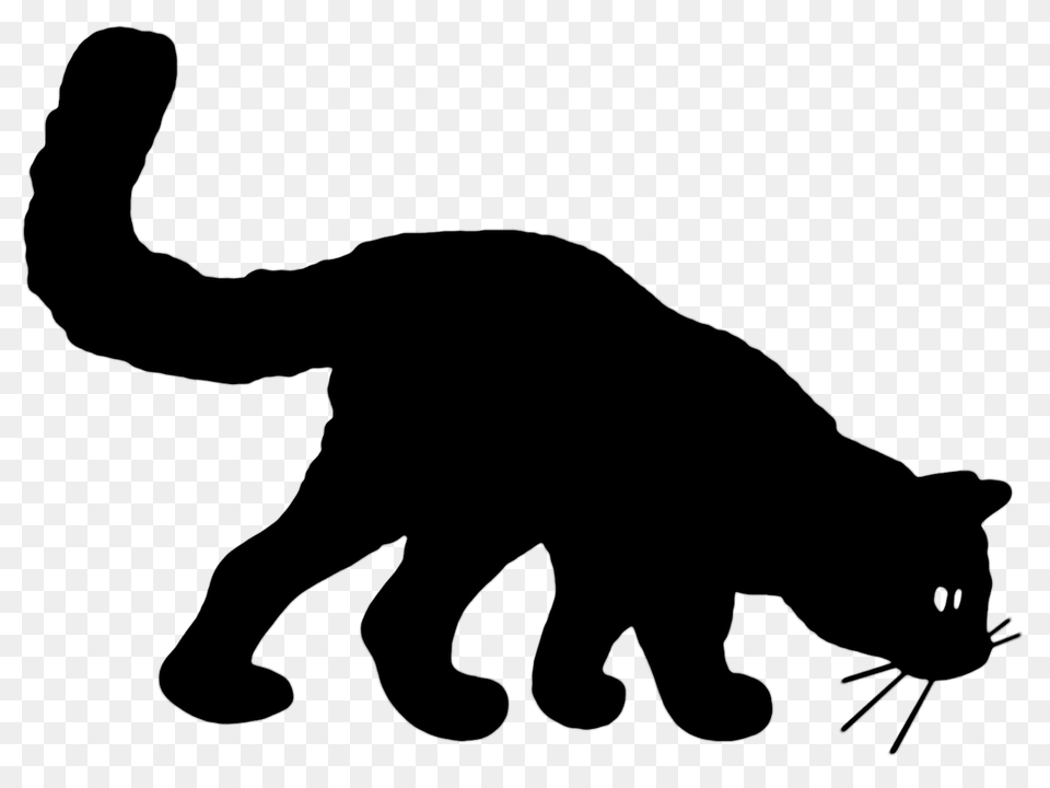 Black Cat Clipart, Animal, Mammal, Panther, Wildlife Png