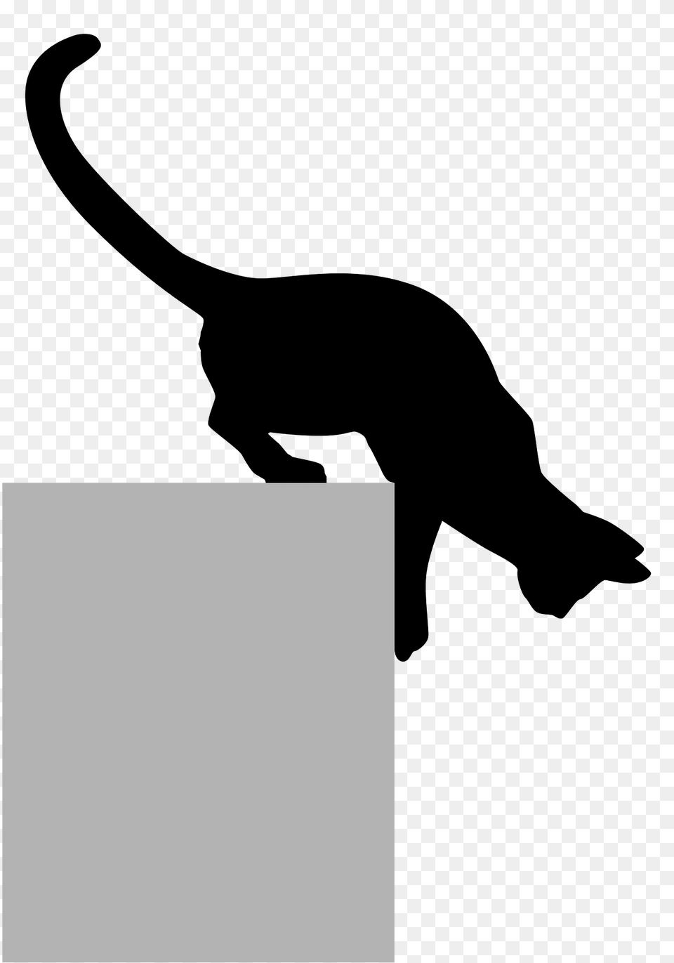 Black Cat Clipart, Silhouette, Animal, Kangaroo, Mammal Png Image