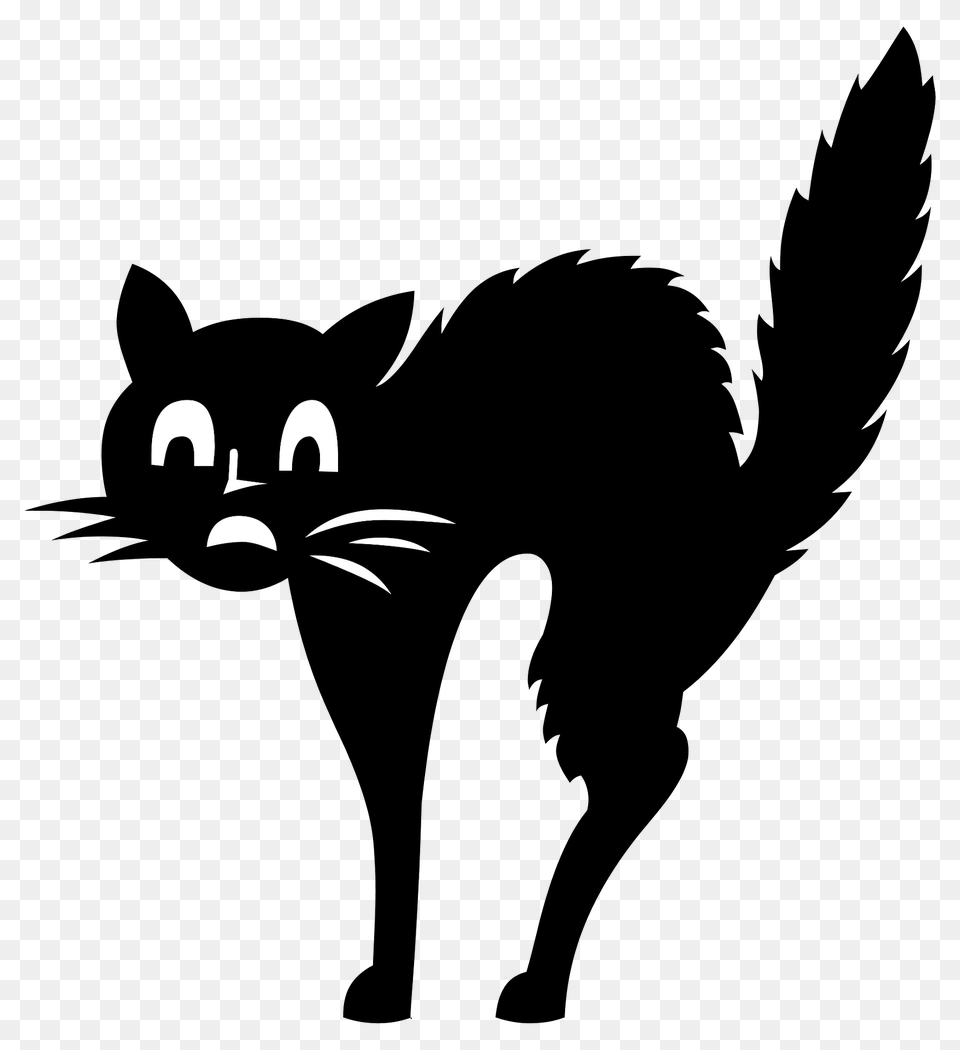 Black Cat Clipart, Silhouette, Stencil, Animal, Kangaroo Free Png Download