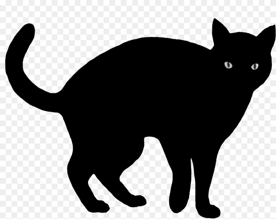 Black Cat Clipart 4 Left Printable Black Cat Halloween Free Transparent Png