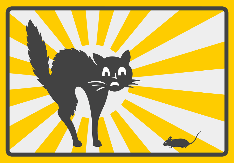 Black Cat Clipart, Logo, Animal, Mammal, Rat Free Png