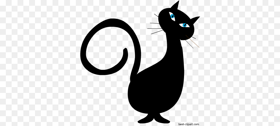 Black Cat Clipart Background Black Cats Free Png