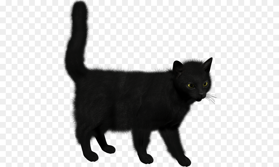 Black Cat Clipart Black Cat, Animal, Black Cat, Mammal, Pet Free Png Download