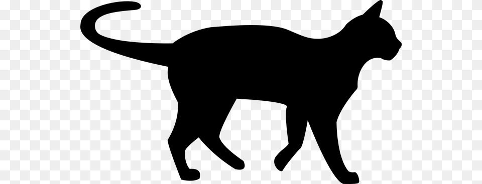 Black Cat Clipart Mystery, Lighting, Silhouette Free Png