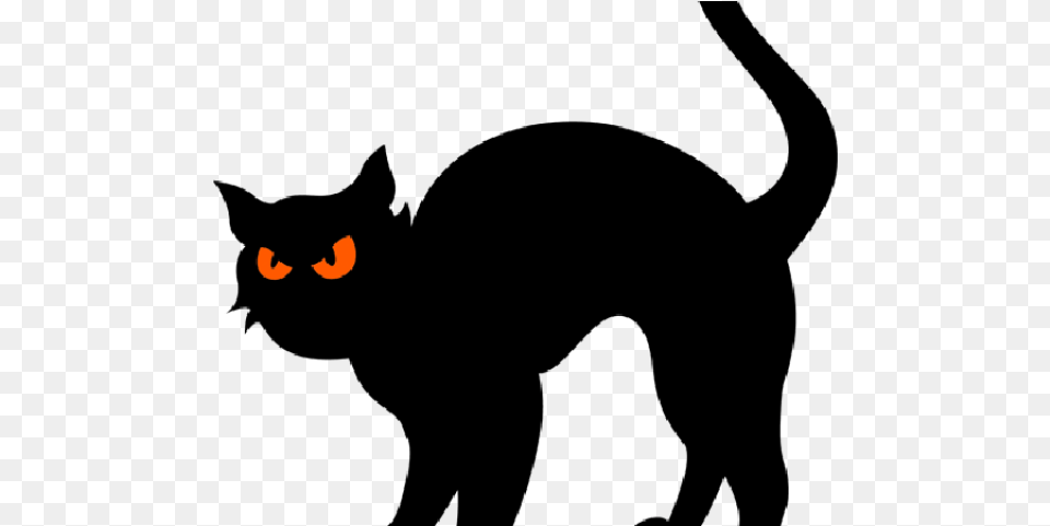 Black Cat Clipart Silhouette Halloween Cat Clipart Png Image