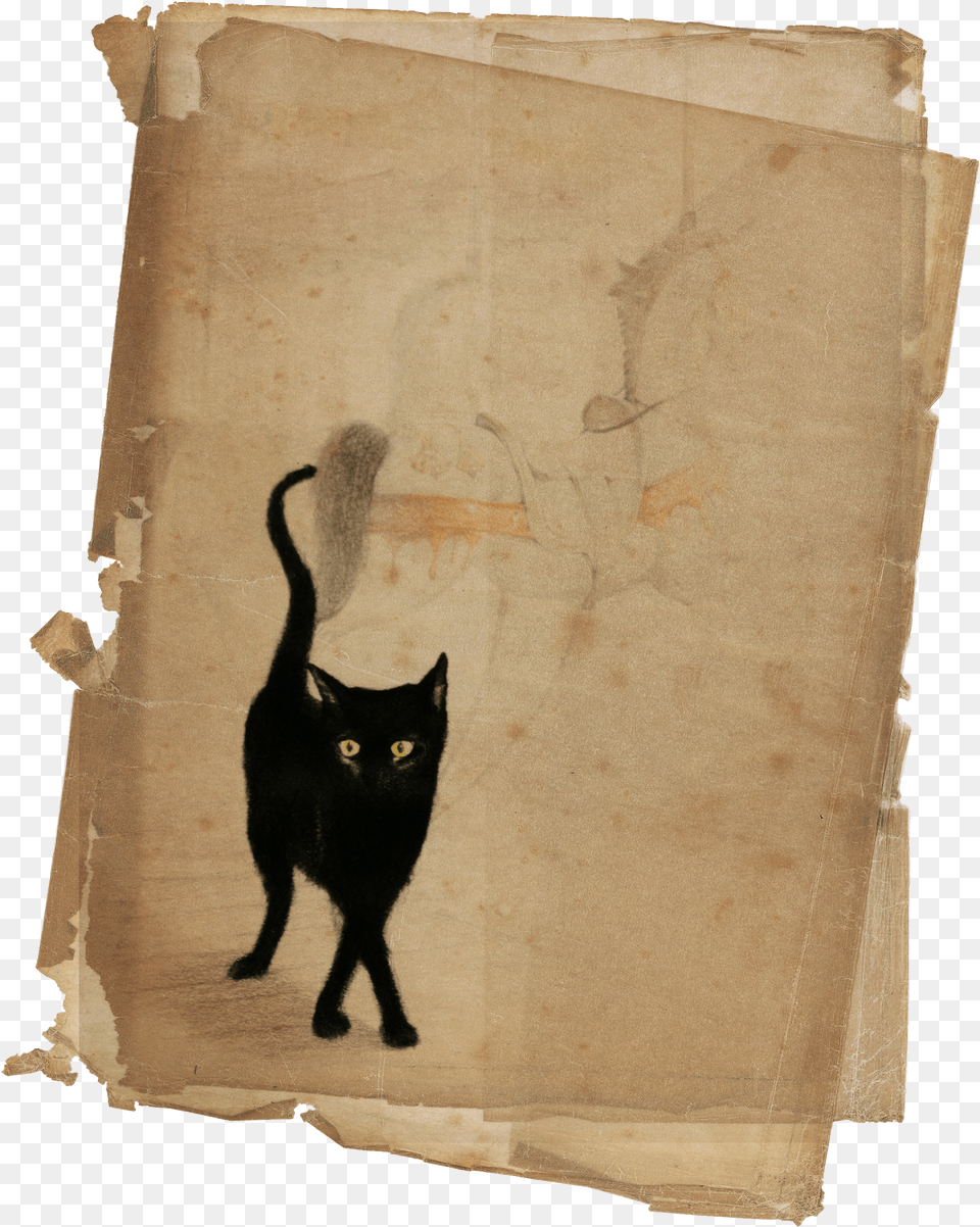 Black Cat Diary Free Png