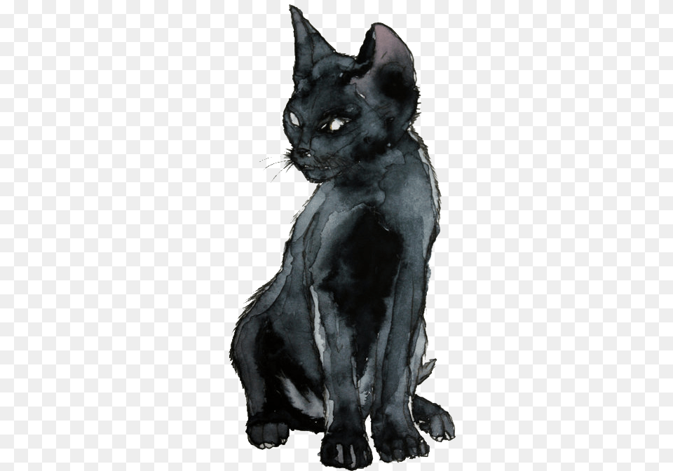 Black Cat Drawing Black Cat Watercolor, Animal, Mammal, Pet, Bear Png