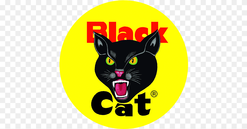Black Cat Fireworks, Logo, Animal, Mammal, Pet Free Transparent Png